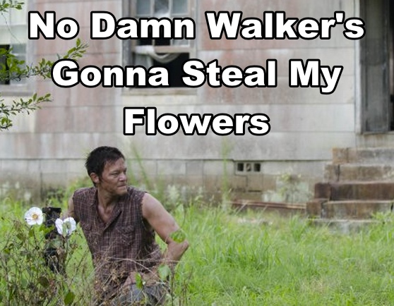 Daryl guards his Cherokee Rose