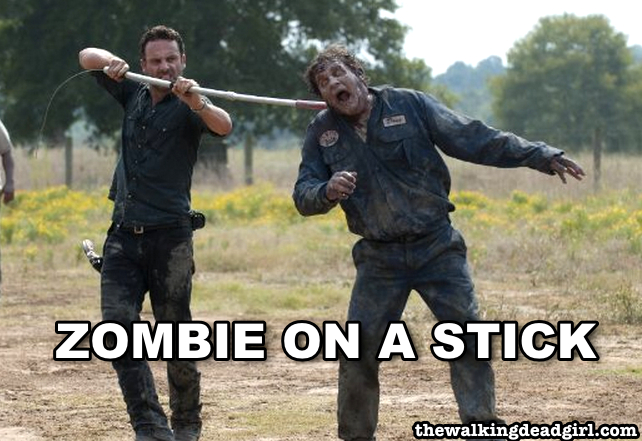 Zombie on a Stick - The Walking Dead