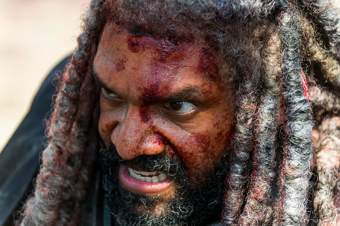 Khary Payton as Ezekiel - The Walking Dead _ Season 8, Episode 4 - Photo Credit: Gene Page/AMC